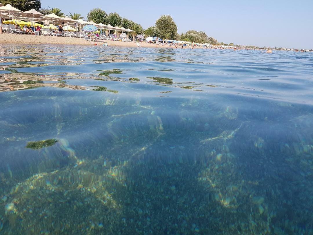Dimitris Apartments Nea Plagia Dış mekan fotoğraf